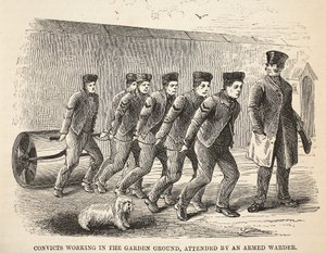Détenus travaillant dans le jardin, surveillés par un gardien armé, illustration de The Criminal Prisons of London and Scenes from Prison Life par Henry Mayhew et John Binny, pub. 1862
