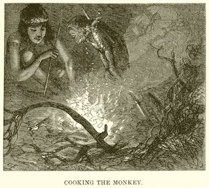 Cuisson du singe - English School