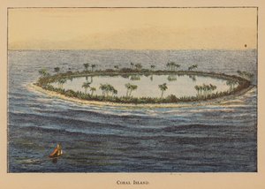 Île de corail - English School
