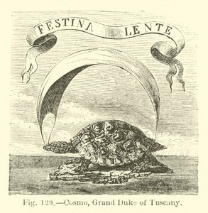 Cosme, Grand-Duc de Toscane - English School