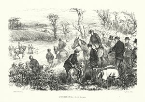 Coursing (gravure) - English School