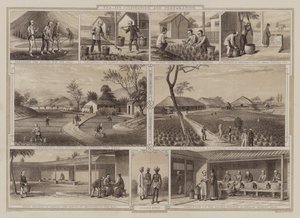 Culture et préparation du thé - English School