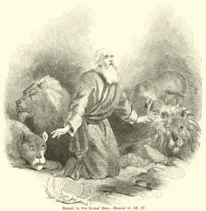 Daniel dans la fosse aux lions, Daniel, vi, 16, 17 - English School