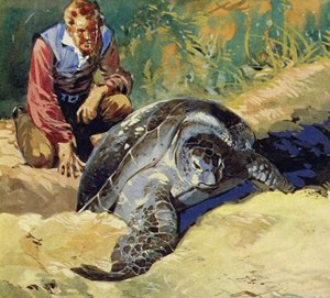 Darwin se demandait pourquoi les tortues géantes des îles Galápagos différaient sur chaque île