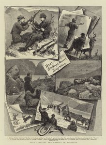 Chasse et Conduite de Cerfs en Écosse - English School