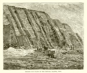 Extraction de guano dans les îles Chincha, Pérou - English School
