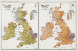 Répartition des cultures vertes, répartition des cultures céréalières