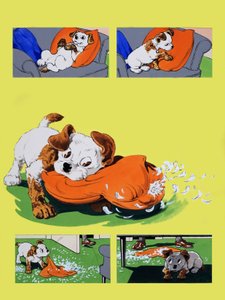 Chien mâchant un oreiller