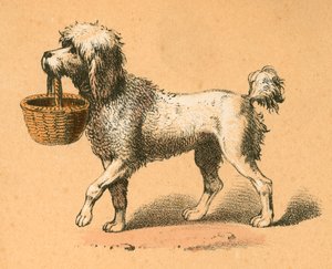 Chien avec panier - English School