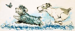 Chiens chassant un papillon