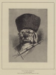 Chiens de la corporation - English School
