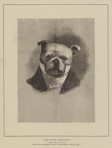 Chiens de la corporation