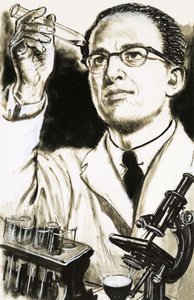 Dr Jonas Salk, créateur du vaccin contre la polio, regarde un tube à essai - English School