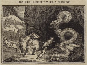Conflit terrible avec un serpent