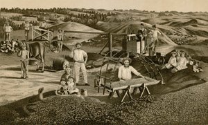 Tri à sec (lithographie) - English School