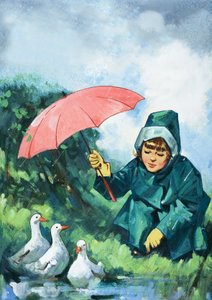 Canards sous la pluie