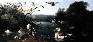 Canards sur un étang - English School