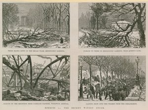 Effets de la récente tempête hivernale