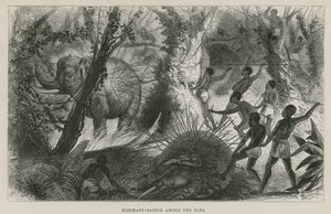 Chasse à l