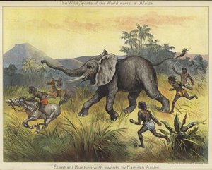 Chasse à l
