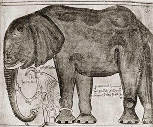 Éléphant envoyé par Saint Louis à Henri III, extrait de "Historia Major", reproduit dans "English Historians". - English School