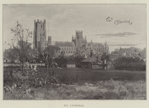 Cathédrale d