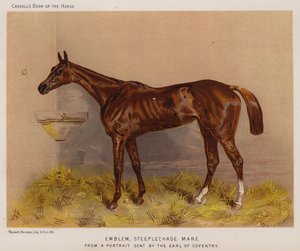 Emblème, jument de steeplechase (lithographie en couleur)