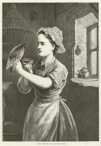 Emma soignant le pigeon blessé - English School