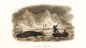 Baleiniers anglais chassant des baleines dans les mers du Nord près du Groenland - English School