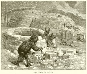 Habitation Esquimau - English School