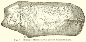 Gravure de mammouth sur un morceau d