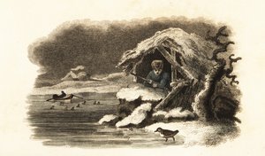 Cincle plongeur européen entrant dans le lac Nantua, France, et continuant immergé au fond du lac dans une bulle d