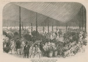 Exposition de la Société royale de botanique - English School