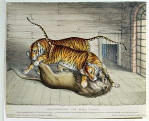 Combat extraordinaire et fatal, 1830 - English School