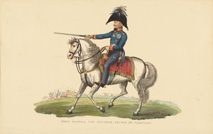 FM Von Blücher, Prince de Wagstadt