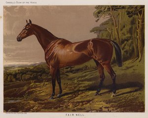Belle Nell (lithographie en couleur)