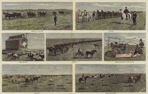 Agriculture dans les plaines d