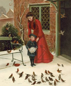 Nourrir les oiseaux