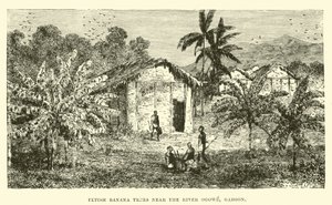 Arbres à bananes fétiches près de la rivière Ogowe, Gabon