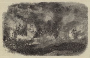 Incendie aux plantations du prince Albert (gravure) - English School