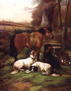 Amis fidèles