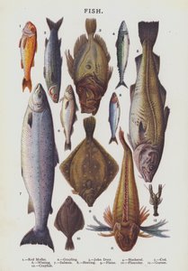 Poisson (chromolitho)