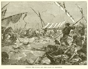 Pêche au thon au large de la côte de Provence - English School