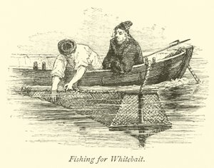 Pêche au fretin