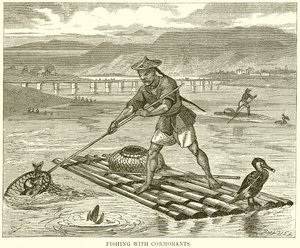 Pêche avec des cormorans