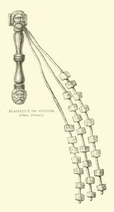 Flagellum ou Fouet