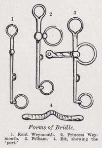 Formes de bride - English School