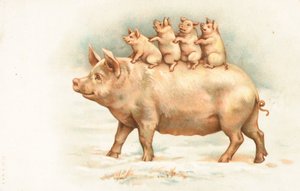 Quatre porcelets chevauchant le dos de leur mère