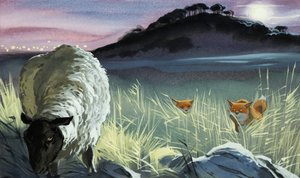 Renards regardant un mouton