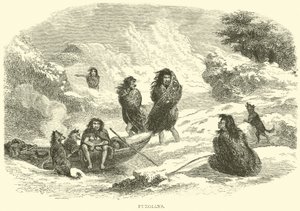 Fuegiens